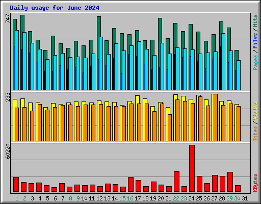 Daily usage for June 2024