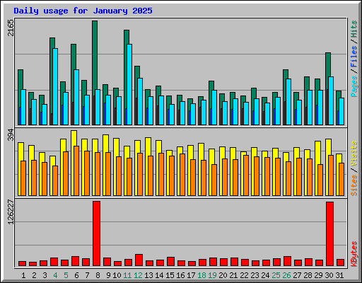 Daily usage for January 2025