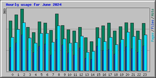 Hourly usage for June 2024