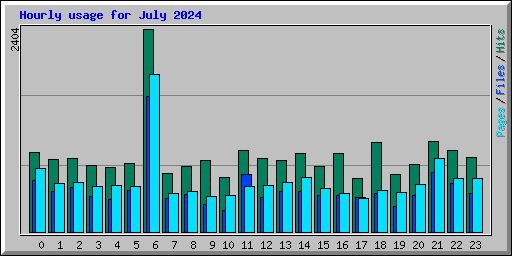 Hourly usage for July 2024