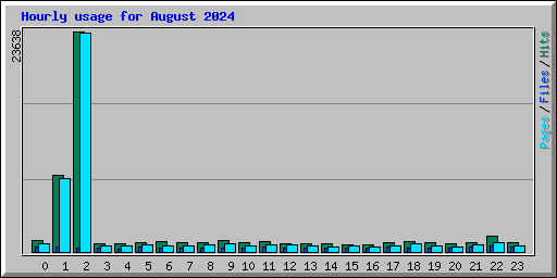 Hourly usage for August 2024