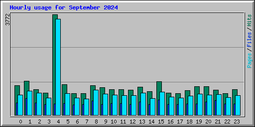 Hourly usage for September 2024