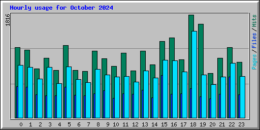 Hourly usage for October 2024