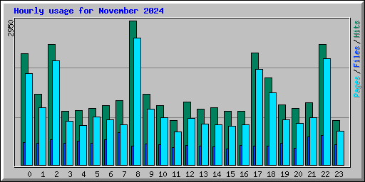 Hourly usage for November 2024