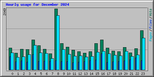 Hourly usage for December 2024