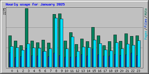 Hourly usage for January 2025