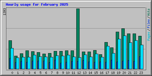 Hourly usage for February 2025