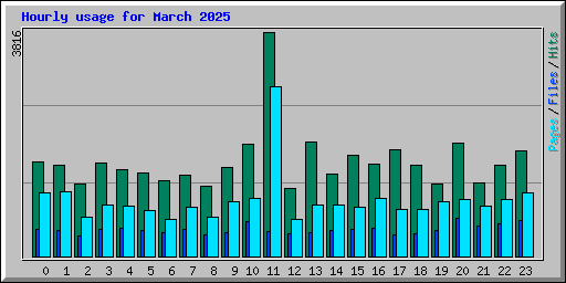 Hourly usage for March 2025