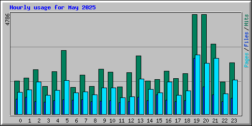 Hourly usage for May 2025