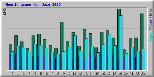 Hourly usage for July 2025